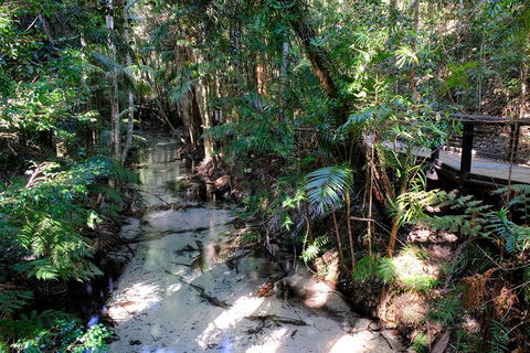 Fraser Island 4WD Tour From Rainbow Beach - Australian Directory 0