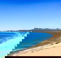 Kayak with Dolphins and 4WD Great Beach Drive Day Trip from Noosa - Australian Directory