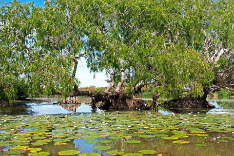 Ethical Adventures - Best In The WET - Litchfield / Kakadu 3 Day- Max 10 Guests - Australian Directory 1