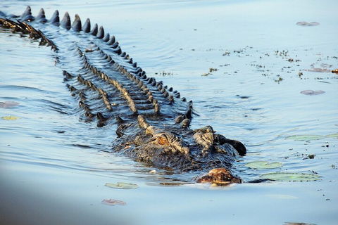 Ethical Adventures - Best In The WET - Litchfield / Kakadu 3 Day- Max 10 Guests - Australian Directory 4