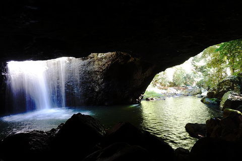 Rainforest & Waterfalls Extravaganza - Australian Directory 0