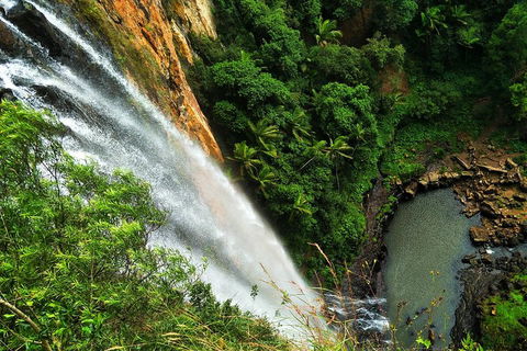 Rainforest & Waterfalls Extravaganza - Australian Directory 1