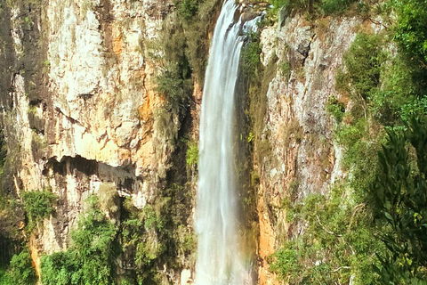 Natural Arch, Rainforest & Volcano Canyon - Private Half Day Tour - Australian Directory 2