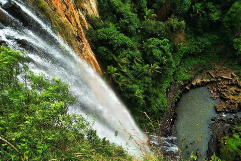 Natural Arch, Rainforest & Volcano Canyon - Private Half Day Tour - Australian Directory 5