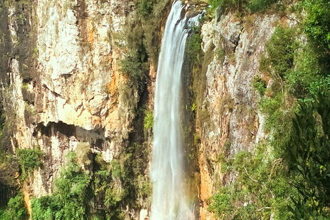 Private Tour - Rainforest & Waterfalls Extravaganza - Australian Directory 0