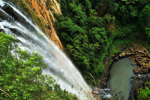 Private Tour - Rainforest & Waterfalls Extravaganza - Australian Directory 2