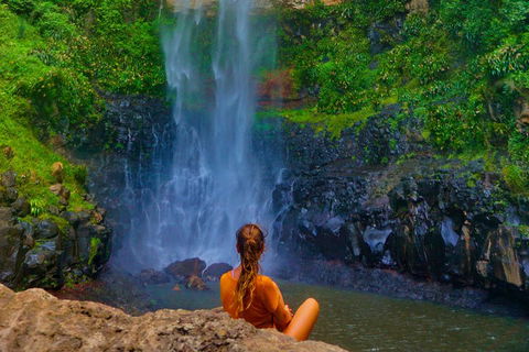 Private Tour - Rainforest & Waterfalls Extravaganza - Australian Directory 3