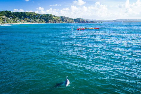 The Byron Bay Sea Kayak Tour - Australian Directory 2