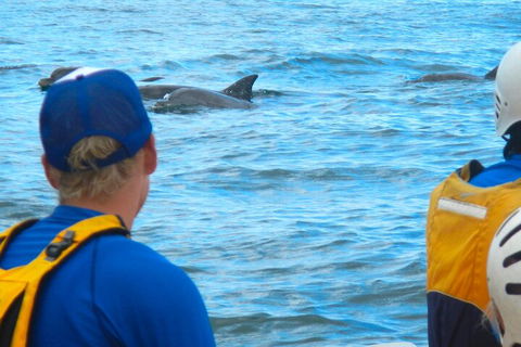 The Byron Bay Sea Kayak Tour - Australian Directory 4