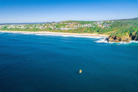 2-Hour Guided Whale Watching Tour At Noosa - Australian Directory 4