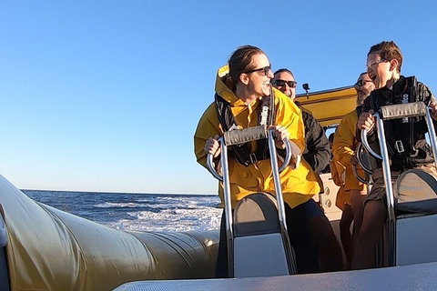 Noosa Oceanrider - Adventure Tour - Australian Directory 0