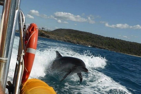 Noosa Oceanrider - Adventure Tour - Australian Directory 1