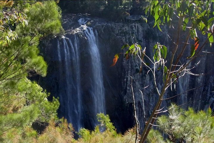  Australian Directory