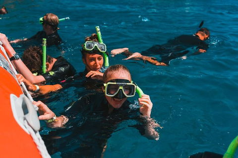 Whitehaven Beach And Hill Inlet Lookout Full-Day Snorkeling Cruise By High-Speed Catamaran - Australian Directory 3