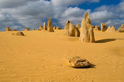 The Pinnacles, Sea And Dunescapes, Bush Reserve And Sunset Day Tour - Australian Directory 0