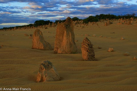 The Pinnacles, Sea And Dunescapes, Bush Reserve And Sunset Day Tour - Australian Directory 1