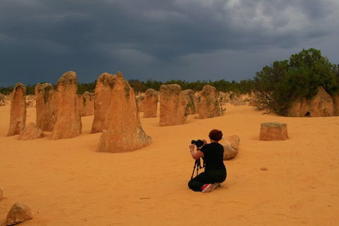The Pinnacles, Sea And Dunescapes, Bush Reserve And Sunset Day Tour - Australian Directory 2