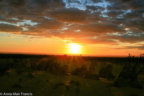 The Pinnacles, Sea And Dunescapes, Bush Reserve And Sunset Day Tour - Australian Directory 3