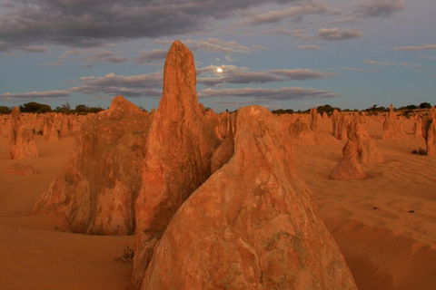 The Pinnacles, Sea And Dunescapes, Bush Reserve And Sunset Day Tour - Australian Directory 4