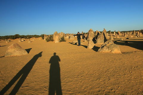 The Pinnacles, Sea And Dunescapes, Bush Reserve And Sunset Day Tour - Australian Directory 5