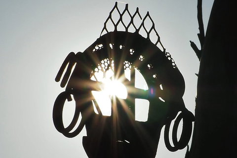 Wave Rock, Wild Flowers And Astro Photography - Australian Directory 4