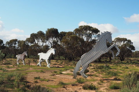 Wave Rock, Wild Flowers And Astro Photography - Australian Directory 5