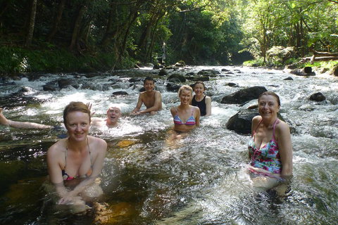 Daintree Rainforest, Cape Tribulation, Mossman Gorge Small-Group Day Tour - Australian Directory 0