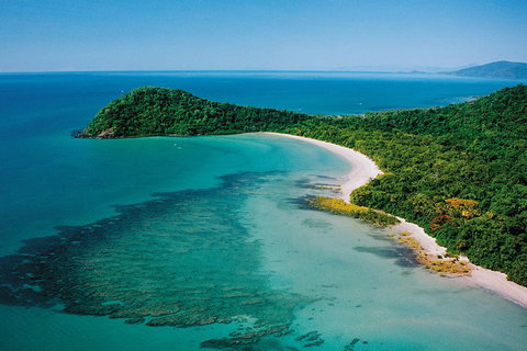 Daintree Rainforest, Cape Tribulation, Mossman Gorge Small-Group Day Tour - Australian Directory 4