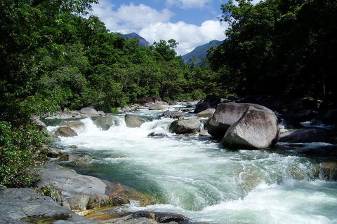 Daintree Rainforest, Cape Tribulation, Mossman Gorge Small-Group Day Tour - Australian Directory 5