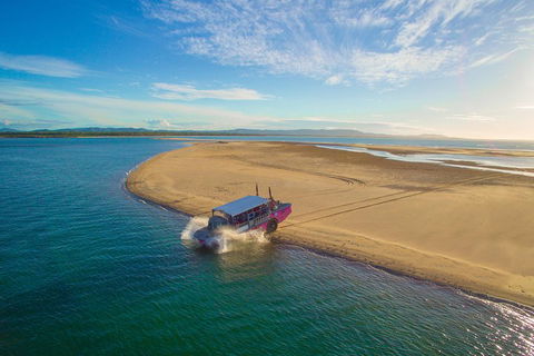 Town Of 1770 Afternoon Cruise - Australian Directory 0