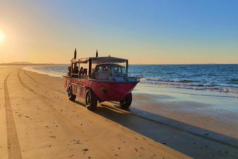 Town Of 1770 Afternoon Cruise - Australian Directory 1