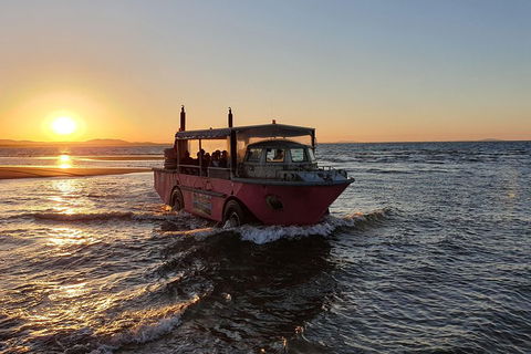 Town Of 1770 Afternoon Cruise - Australian Directory 3