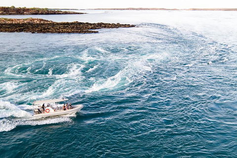 Giant Tides Tour - Cygnet Bay Pearl Farm - Australian Directory 4
