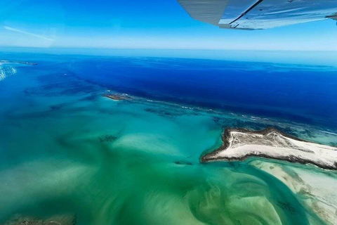 Wet Season Incredible Islands Tour - Horizontal Falls & Cygnet Bay Pearl Farm - Australian Directory 4