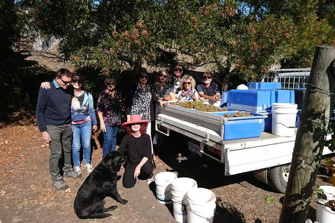 Valleys Of Vino Tour - Australian Directory 1