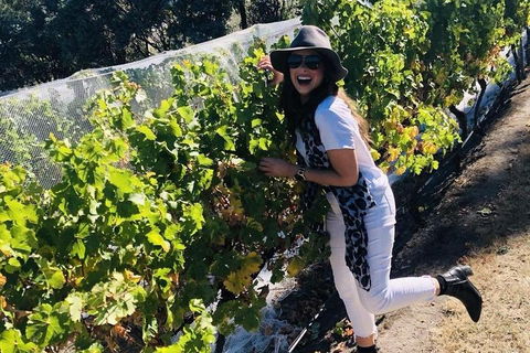 Valleys Of Vino Tour - Australian Directory 3