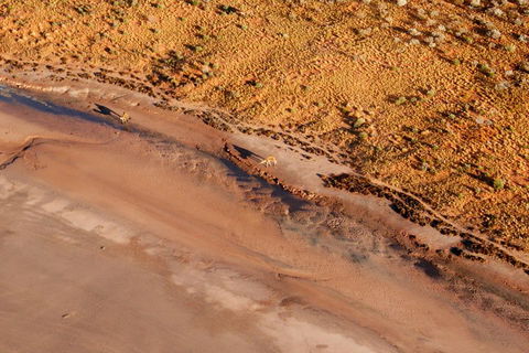 Scenic Flight: Lizard Safari - Australian Directory 0