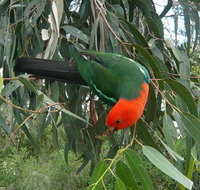 3-Day Private Adelaide to Melbourne tour - Australian Directory