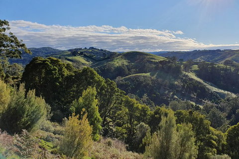 3-Day Adelaide To Melbourne Tour Including The Great Ocean Road - Australian Directory 5