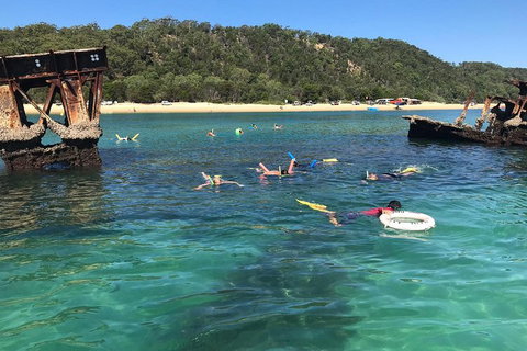 All Inclusive Dolphin And Tangalooma Wrecks Cruise - Australian Directory 0