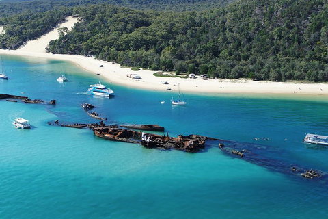 All Inclusive Dolphin And Tangalooma Wrecks Cruise - Australian Directory 4