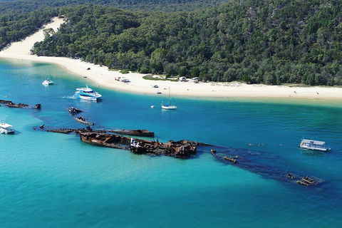 All Inclusive Tangalooma Wrecks Cruise Tour From Gold Coast - Australian Directory 0