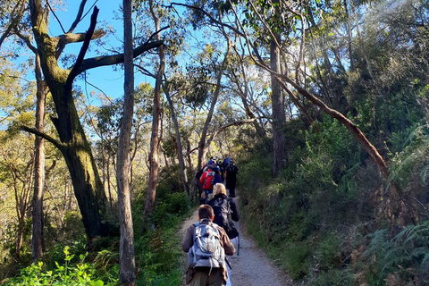 Self-Guided Waterfall Gully To Mount Lofty Hike From Adelaide - Australian Directory 1