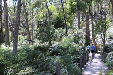 Self-Guided Waterfall Gully To Mount Lofty Hike From Adelaide - Australian Directory 2