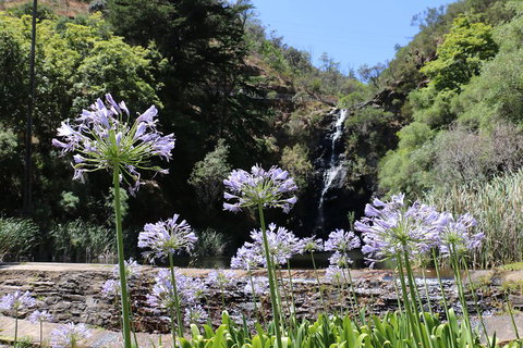 Self-Guided Waterfall Gully To Mount Lofty Hike From Adelaide - Australian Directory 3