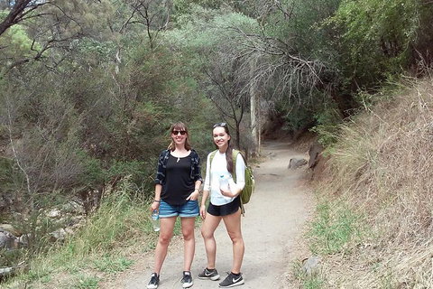 Self-Guided Waterfall Gully To Mount Lofty Hike From Adelaide - Australian Directory 4