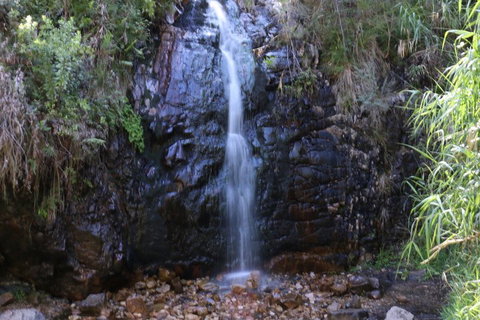 Self-Guided Waterfall Gully To Mount Lofty Hike From Adelaide - Australian Directory 5