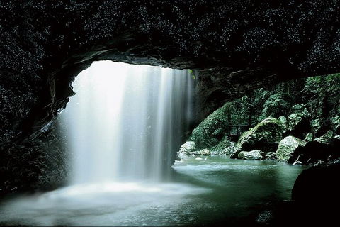 Natural Bridge Glow Worm Night Tour From Gold Coast - Australian Directory 0
