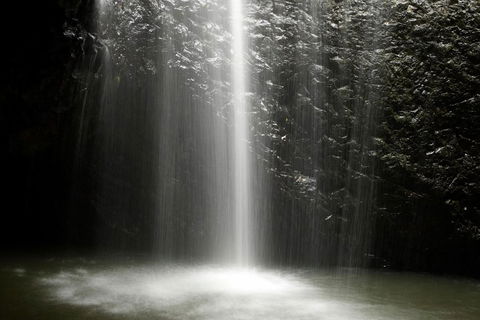 Natural Bridge Glow Worm Night Tour From Gold Coast - Australian Directory 2
