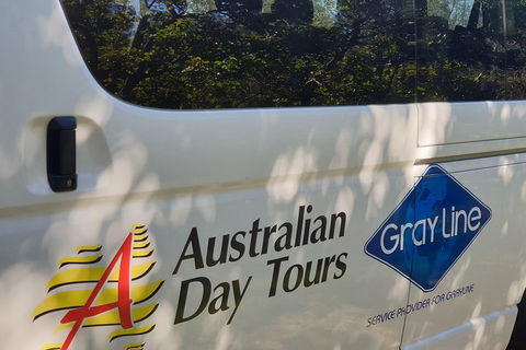 Natural Bridge Glow Worm Night Tour From Gold Coast - Australian Directory 5